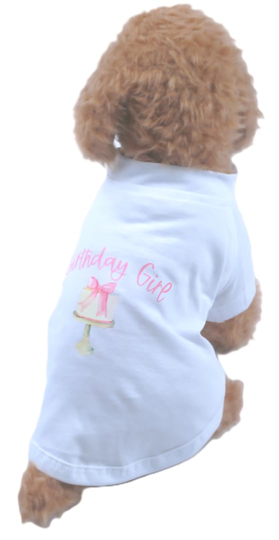 Dog T-Shirt Tee Clothes Vest Lightweight Stretchy Soft Cool Breathable Puppy (Birthdaygirl, Small)